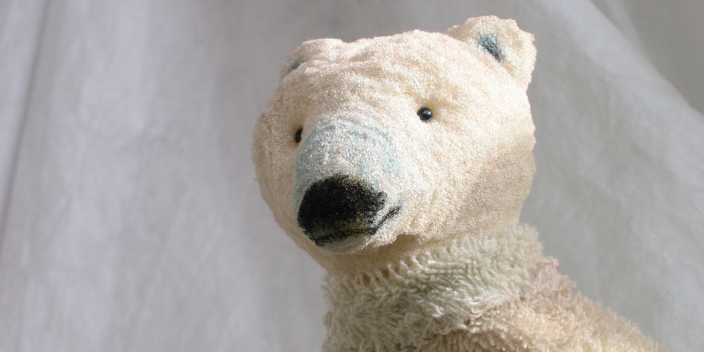 Auch Eisbären können frieren: Kopf von Ika